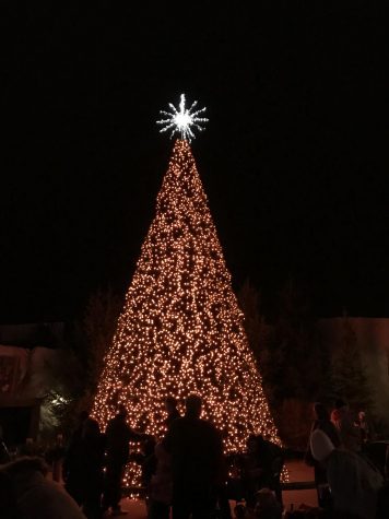 It’s that Time of Year: Columbus Zoo & Aquarium Wildlights