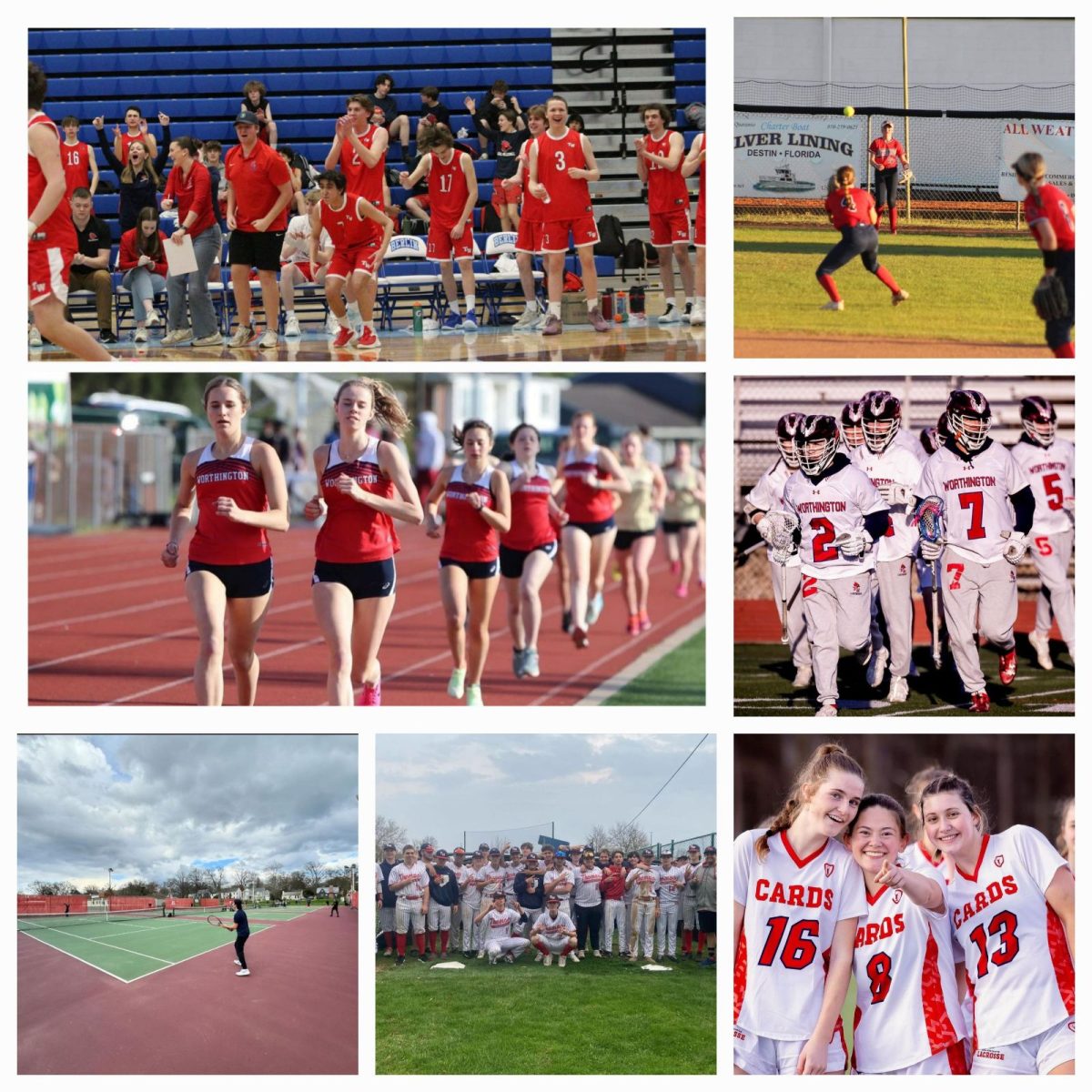 The numerous spring sports in action