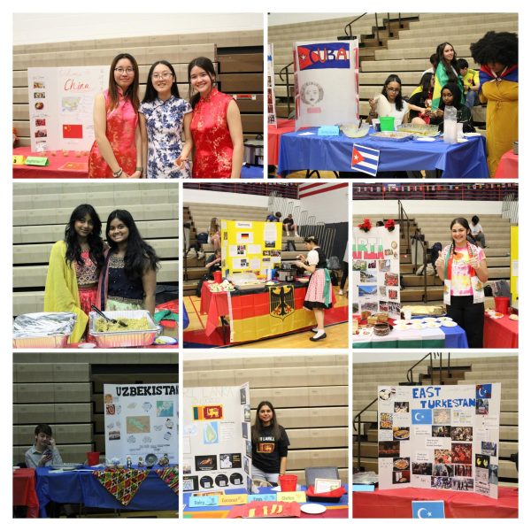 A Colorful Celebration of Cultures: Success at International Day