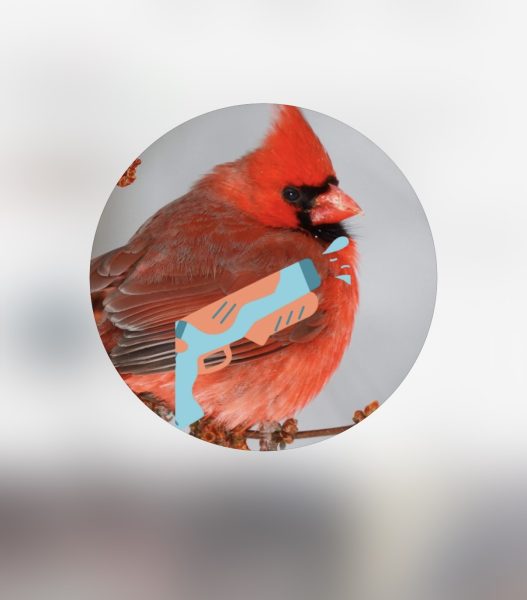 Senior Tag's Instagram profile picture